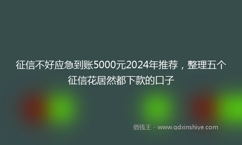 征信不好应急到账5000元2024年推荐，整理五个征信花居然都下款的口子