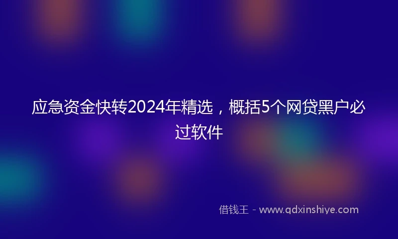 应急资金快转2024年精选，概括5个网贷黑户必过软件