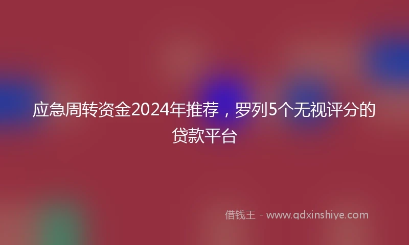应急周转资金2024年推荐，罗列5个无视评分的贷款平台