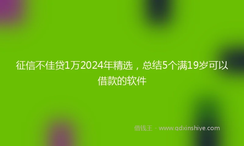 征信不佳贷1万2024年精选，总结5个满19岁可以借款的软件