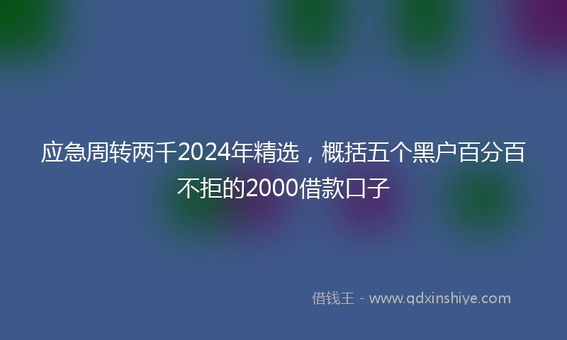 应急周转两千2024年精选，概括五个黑户百分百不拒的2000借款口子