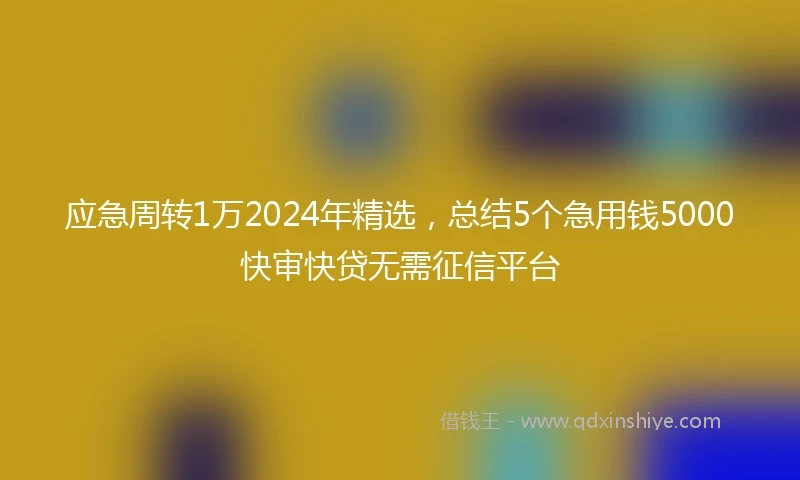 应急周转1万2024年精选，总结5个急用钱5000快审快贷无需征信平台