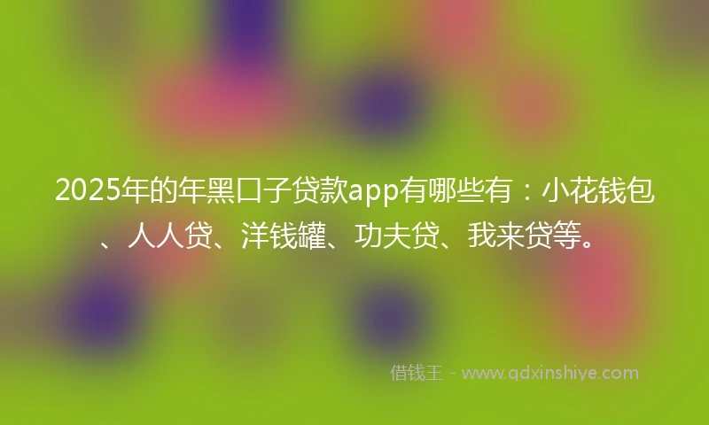 2025年的年黑口子贷款app有哪些有：小花钱包、人人贷、洋钱罐、功夫贷、我来贷等。