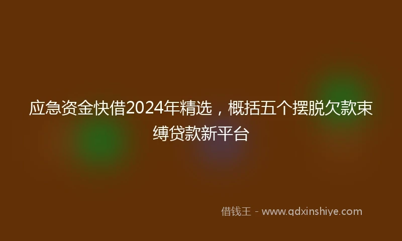 应急资金快借2024年精选，概括五个摆脱欠款束缚贷款新平台