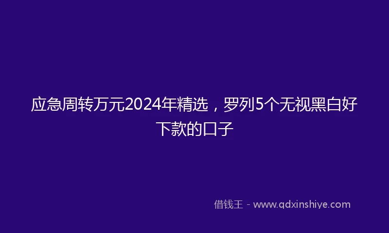 应急周转万元2024年精选，罗列5个无视黑白好下款的口子