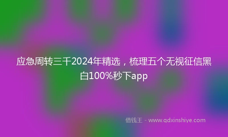 应急周转三千2024年精选，梳理五个无视征信黑白100%秒下app
