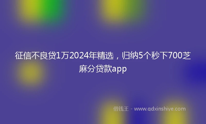 征信不良贷1万2024年精选，归纳5个秒下700芝麻分贷款app
