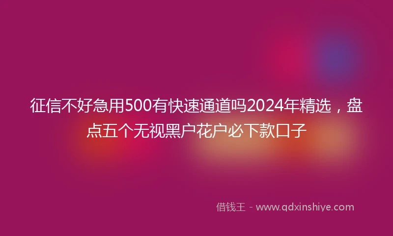 征信不好急用500有快速通道吗2024年精选，盘点五个无视黑户花户必下款口子