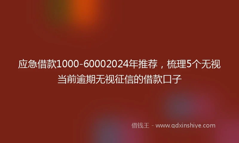 应急借款1000-60002024年推荐，梳理5个无视当前逾期无视征信的借款口子