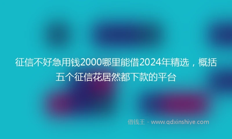 征信不好急用钱2000哪里能借2024年精选，概括五个征信花居然都下款的平台