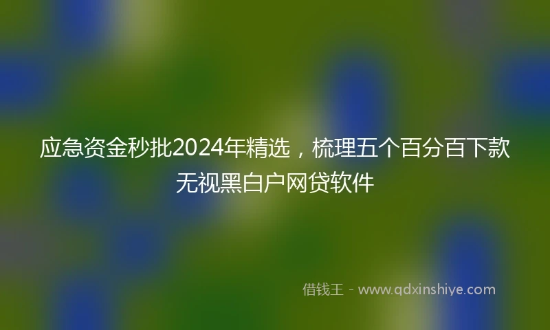 应急资金秒批2024年精选，梳理五个百分百下款无视黑白户网贷软件