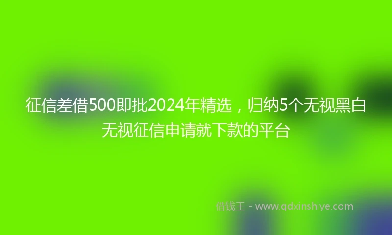征信差借500即批2024年精选，归纳5个无视黑白无视征信申请就下款的平台