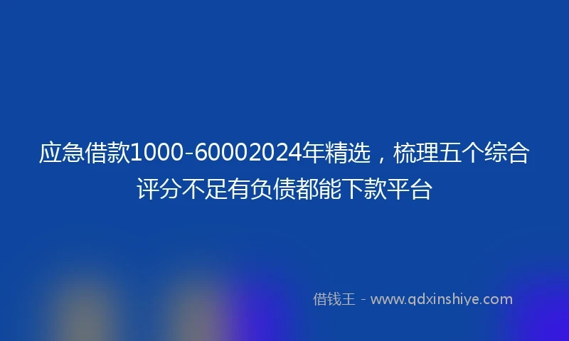 应急借款1000-60002024年精选，梳理五个综合评分不足有负债都能下款平台