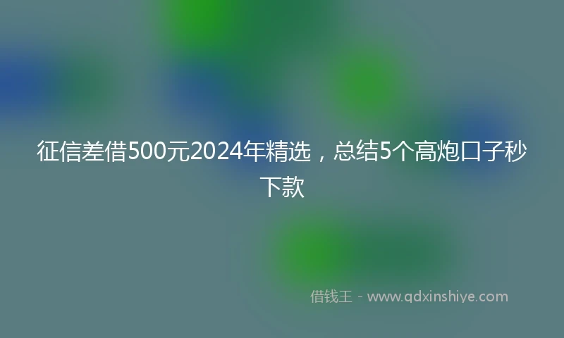 征信差借500元2024年精选，总结5个高炮口子秒下款