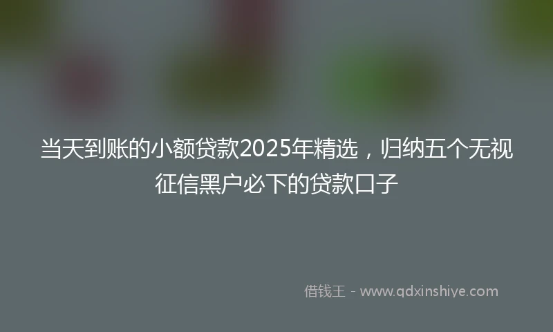 当天到账的小额贷款2025年精选，归纳五个无视征信黑户必下的贷款口子