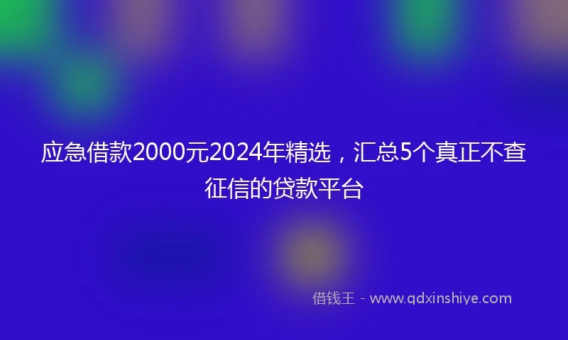 应急借款2000元2024年精选，汇总5个真正不查征信的贷款平台