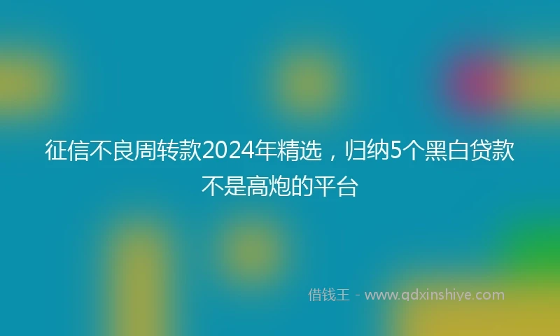 征信不良周转款2024年精选，归纳5个黑白贷款不是高炮的平台