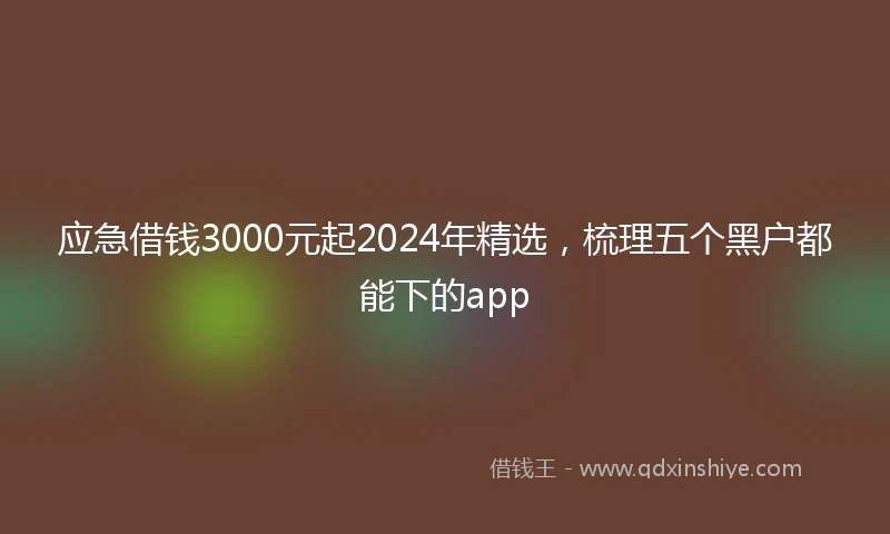 应急借钱3000元起2024年精选，梳理五个黑户都能下的app