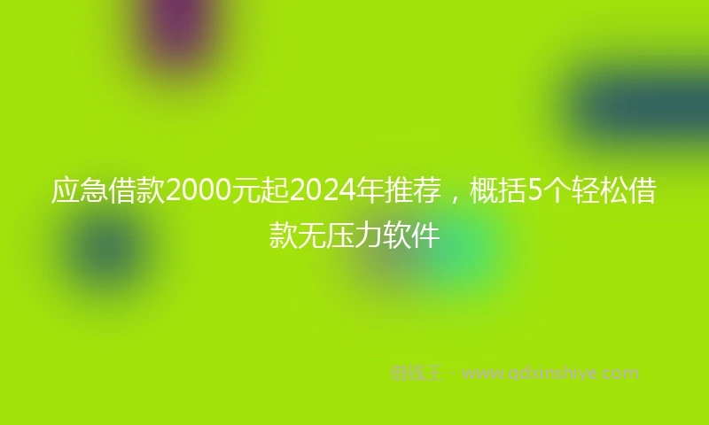 应急借款2000元起2024年推荐，概括5个轻松借款无压力软件
