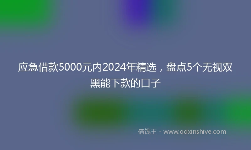应急借款5000元内2024年精选，盘点5个无视双黑能下款的口子