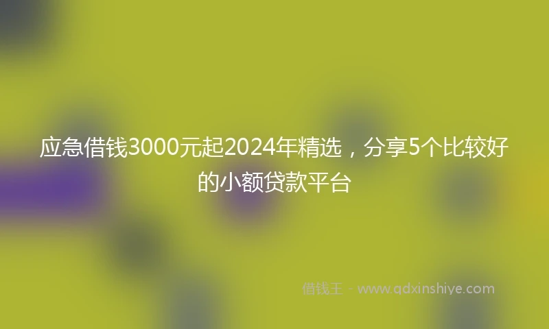 应急借钱3000元起2024年精选，分享5个比较好的小额贷款平台