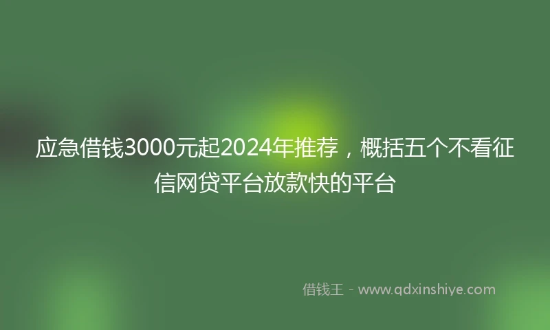 应急借钱3000元起2024年推荐，概括五个不看征信网贷平台放款快的平台