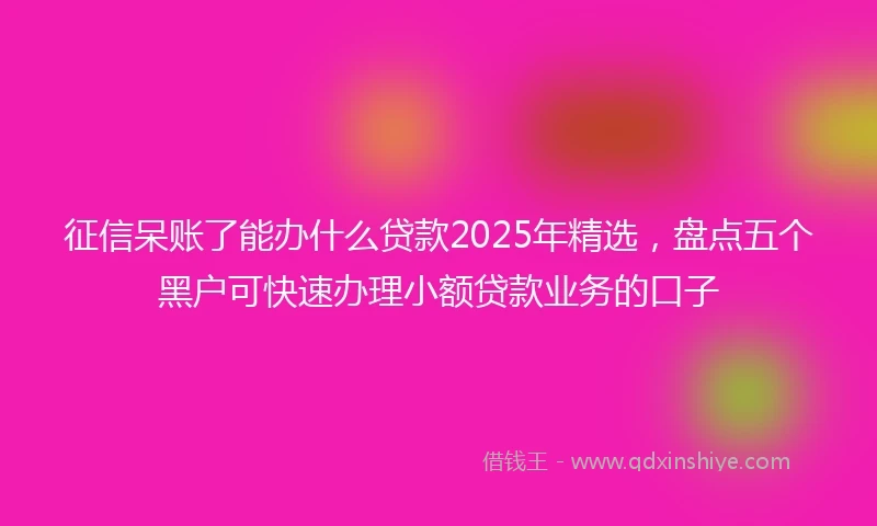 征信呆账了能办什么贷款2025年精选，盘点五个黑户可快速办理小额贷款业务的口子