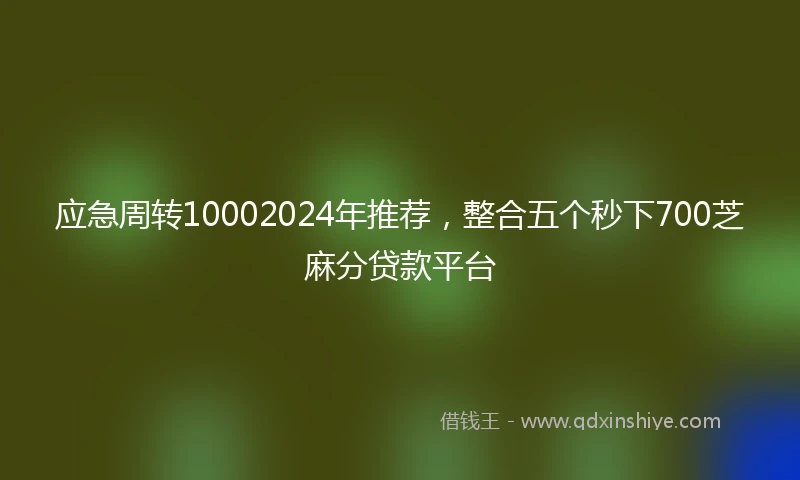 应急周转10002024年推荐，整合五个秒下700芝麻分贷款平台