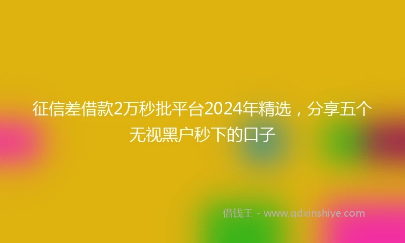 征信差借款2万秒批平台2024年精选，分享五个无视黑户秒下的口子