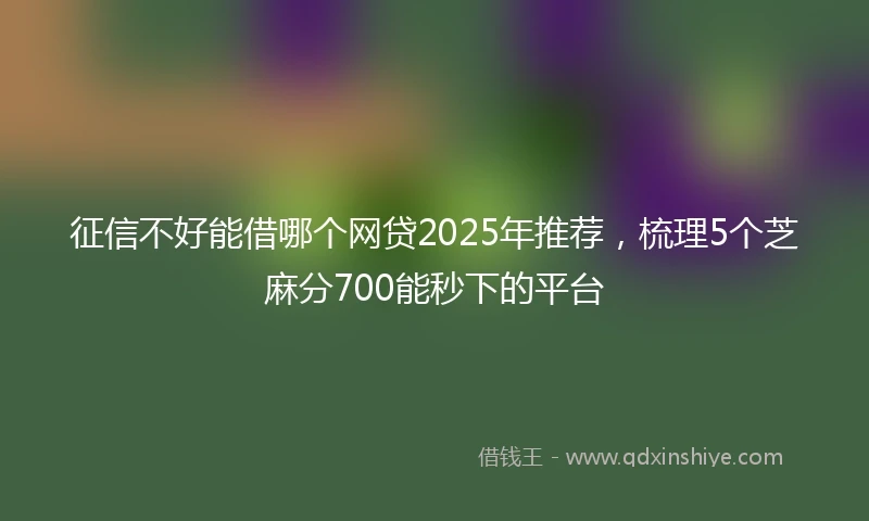 征信不好能借哪个网贷2025年推荐，梳理5个芝麻分700能秒下的平台