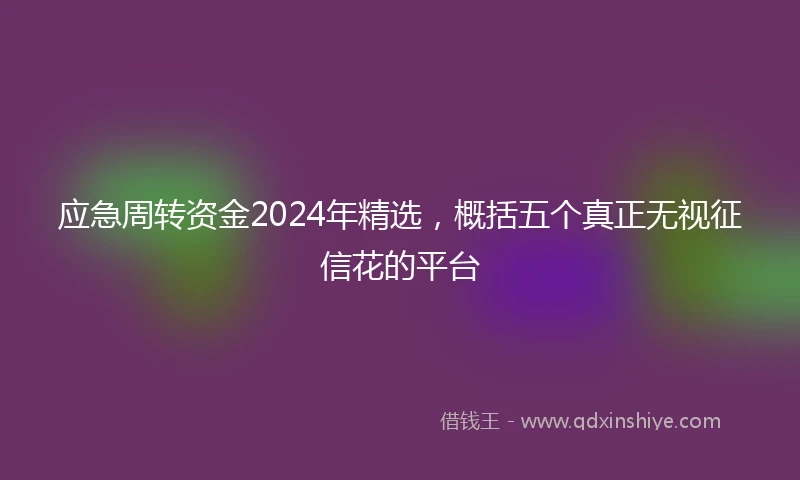 应急周转资金2024年精选，概括五个真正无视征信花的平台