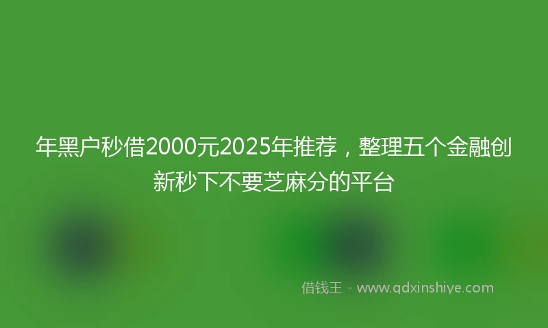 年黑户秒借2000元2025年推荐，整理五个金融创新秒下不要芝麻分的平台
