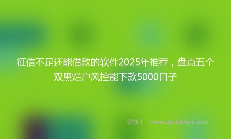 征信不足还能借款的软件2025年推荐，盘点五个双黑烂户风控能下款5000口子
