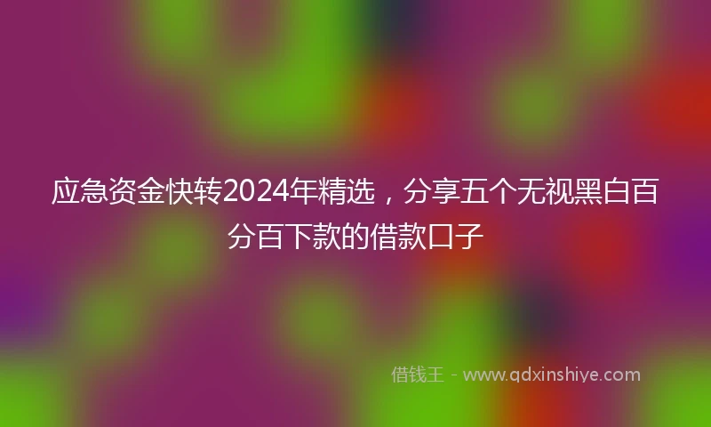 应急资金快转2024年精选，分享五个无视黑白百分百下款的借款口子