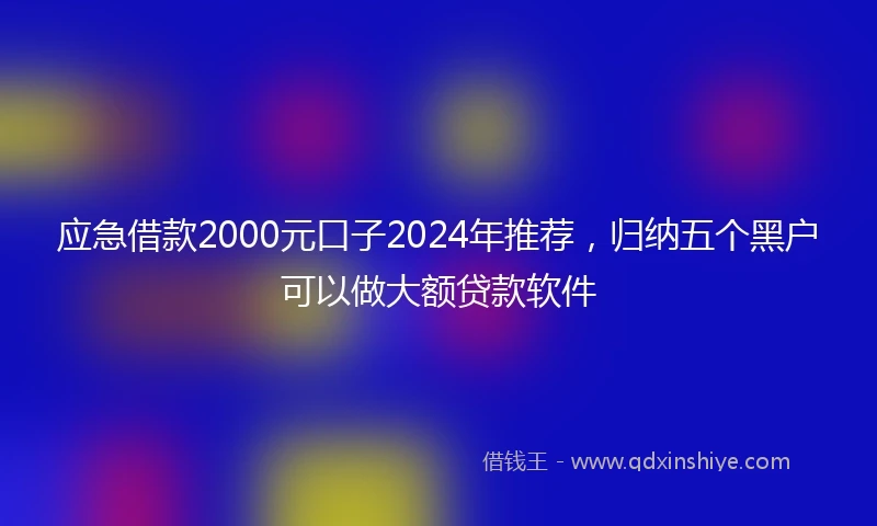 应急借款2000元口子2024年推荐，归纳五个黑户可以做大额贷款软件