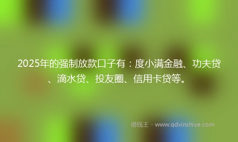 2025年的强制放款口子有：度小满金融、功夫贷、滴水贷、投友圈、信用卡贷等。