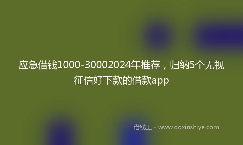 应急借钱1000-30002024年推荐，归纳5个无视征信好下款的借款app