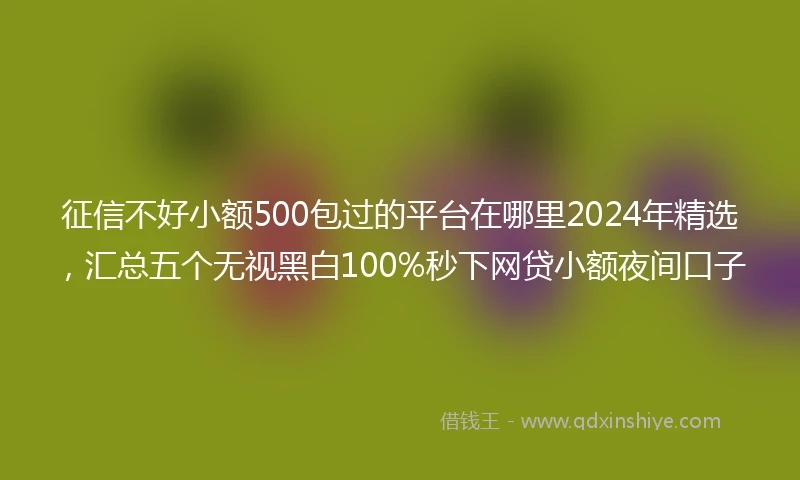 征信不好小额500包过的平台在哪里2024年精选，汇总五个无视黑白100%秒下网贷小额夜间口子