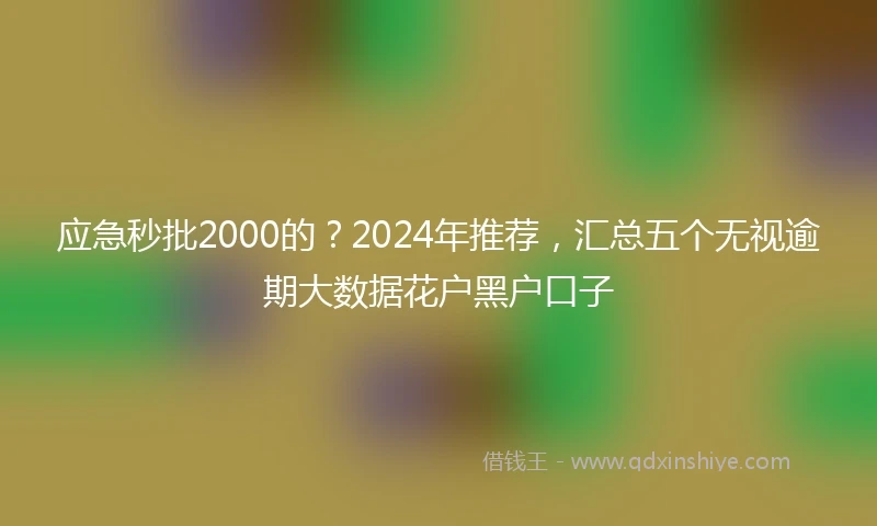 应急秒批2000的？2024年推荐，汇总五个无视逾期大数据花户黑户口子