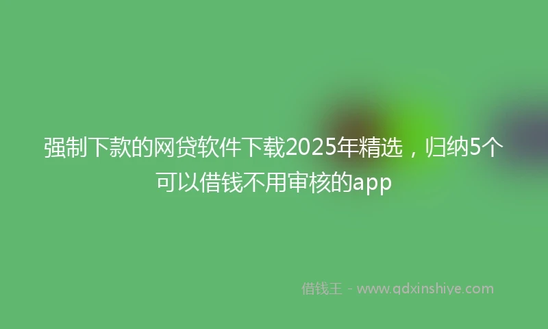 强制下款的网贷软件下载2025年精选，归纳5个可以借钱不用审核的app