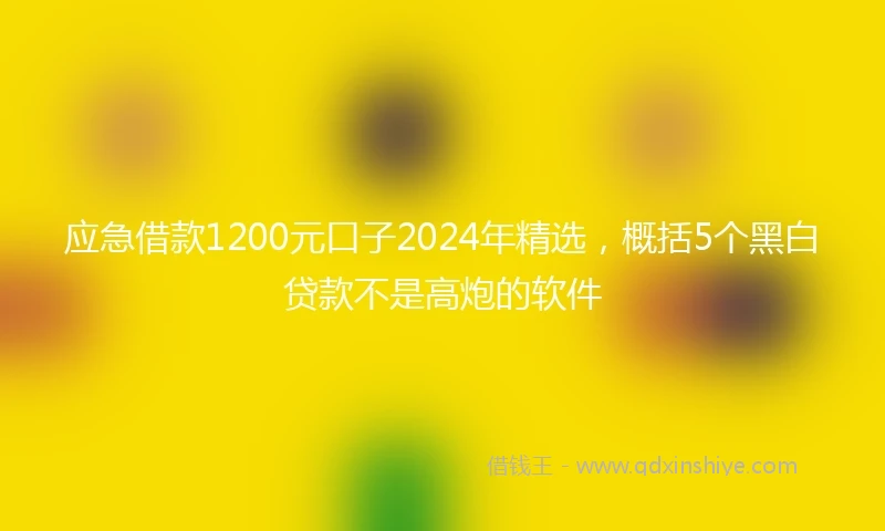 应急借款1200元口子2024年精选，概括5个黑白贷款不是高炮的软件