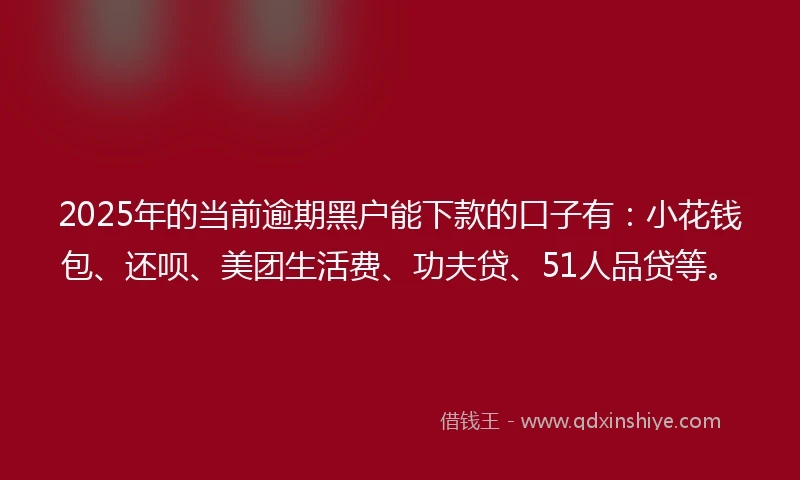 2025年的当前逾期黑户能下款的口子有：小花钱包、还呗、美团生活费、功夫贷、51人品贷等。