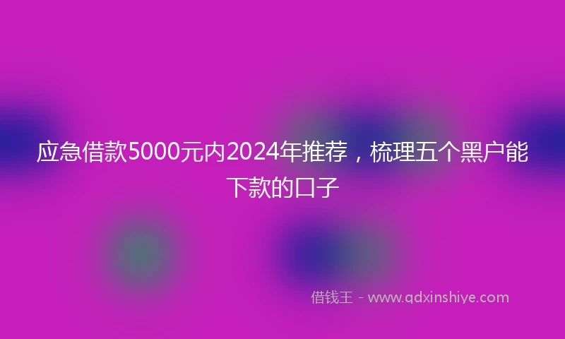 应急借款5000元内2024年推荐，梳理五个黑户能下款的口子