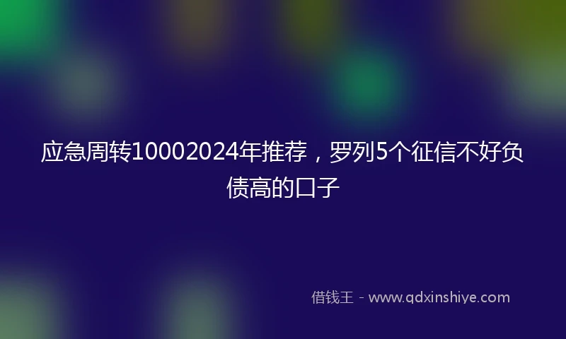 应急周转10002024年推荐，罗列5个征信不好负债高的口子