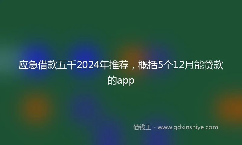 应急借款五千2024年推荐，概括5个12月能贷款的app