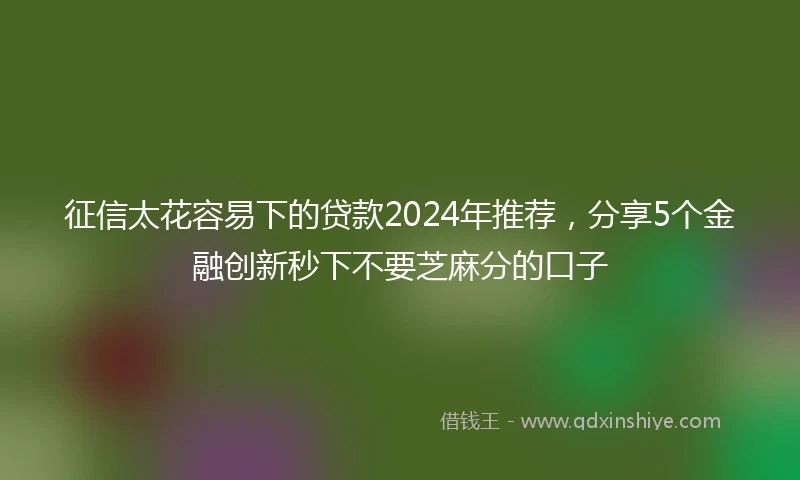 征信太花容易下的贷款2024年推荐，分享5个金融创新秒下不要芝麻分的口子
