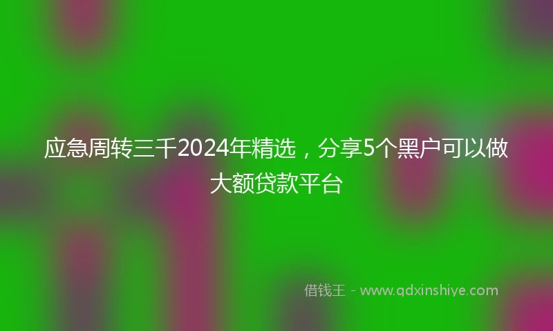 应急周转三千2024年精选，分享5个黑户可以做大额贷款平台