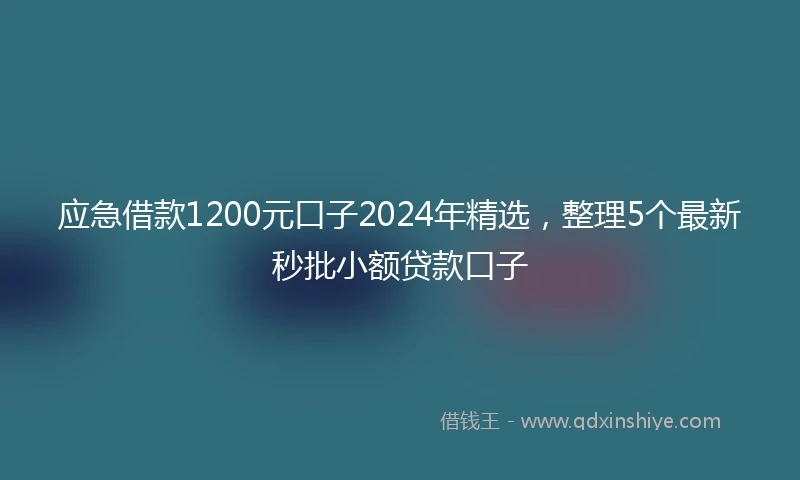应急借款1200元口子2024年精选，整理5个最新秒批小额贷款口子