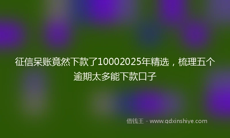 征信呆账竟然下款了10002025年精选，梳理五个逾期太多能下款口子