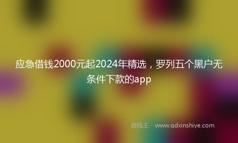 应急借钱2000元起2024年精选，罗列五个黑户无条件下款的app